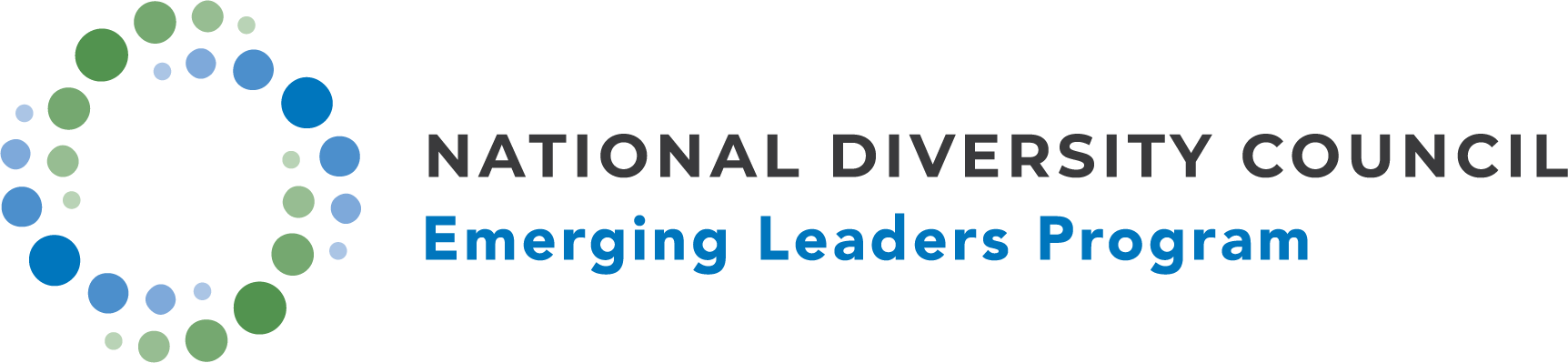 NDC Emerging Leaders Internship Program